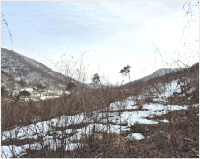 �Ӿ� 6-���ȱ� ��õ�� ���븮-�Ӿ�