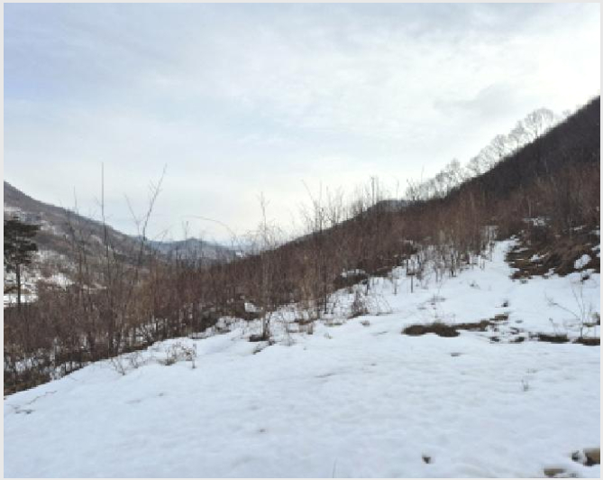 �Ӿ� 10-���ȱ� ��õ�� ���븮-�Ӿ�