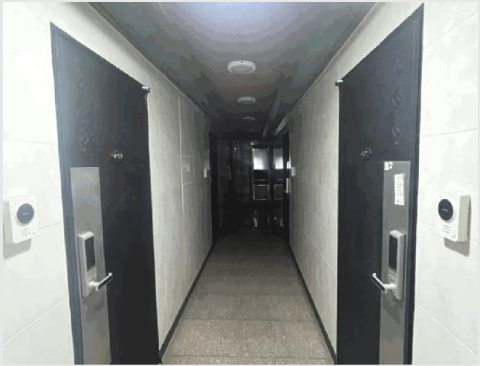 ������ 5-���ֽ� ������ �絿��-������