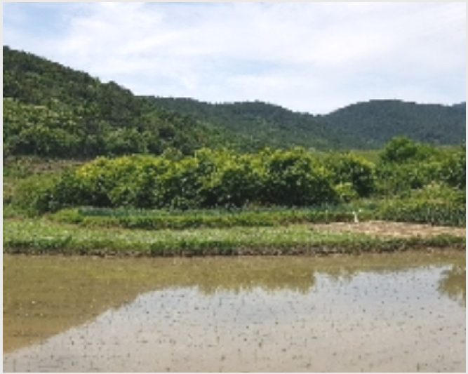 �� 6-����� Ȳ�浿 1107-��