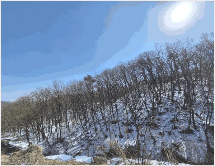 �Ӿ� 8-���ν� ó�α� ��ϸ�-�Ӿ�