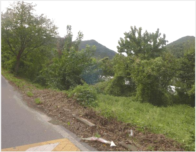 �� 7-û���� ��õ�� ��õ��-��