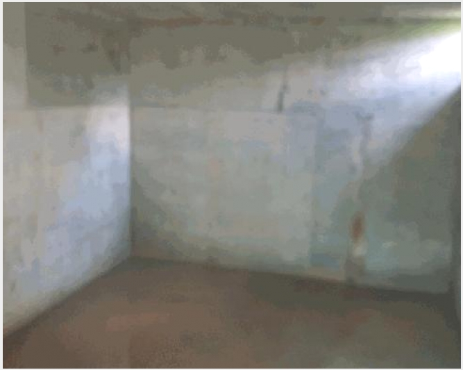 �ܵ����� 5-���ֱ� �̼��� �󰳸�-�ܵ�����
