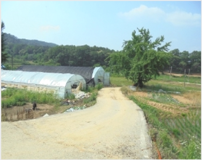 ���� 5-����� �뼺�� ��Ƽ��-����