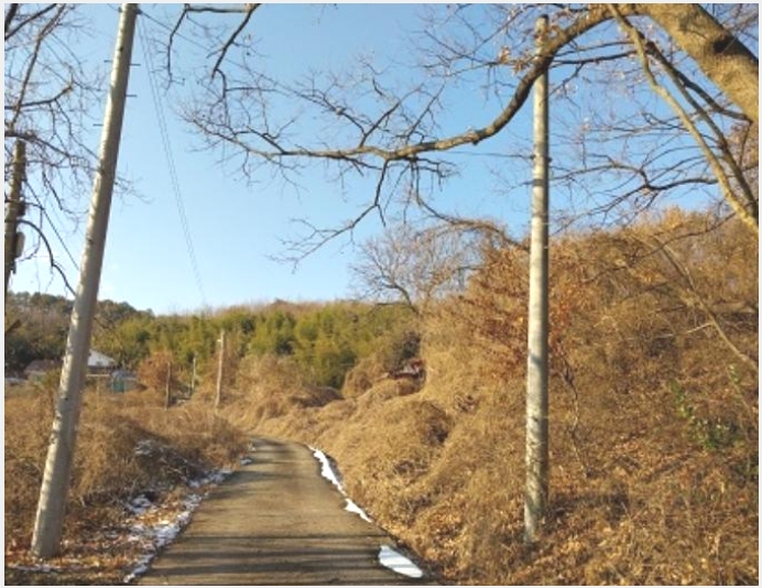 �Ӿ� 4-���ֽ� ���θ� �ſ���-�Ӿ�