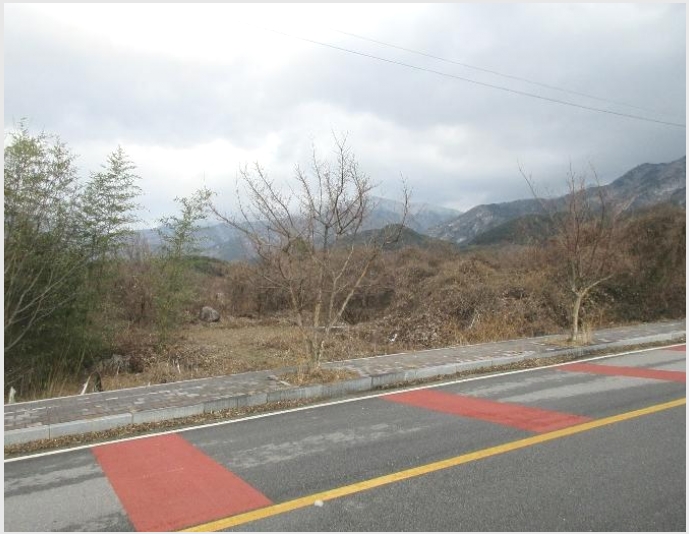 �� 7-���ʱ� �굿�� �»縮-��