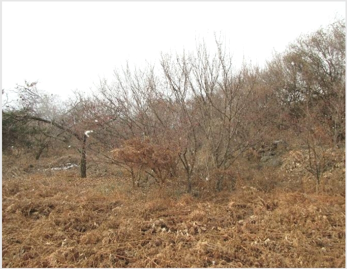 �� 10-���ʱ� �굿�� �»縮-��