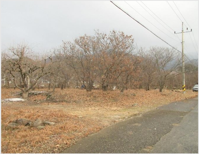 �� 5-���ʱ� �굿�� �»縮-��