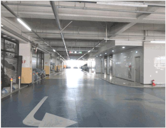 �ٸ��� 5-��õ�� �һ籸 ���浿-�ٸ���