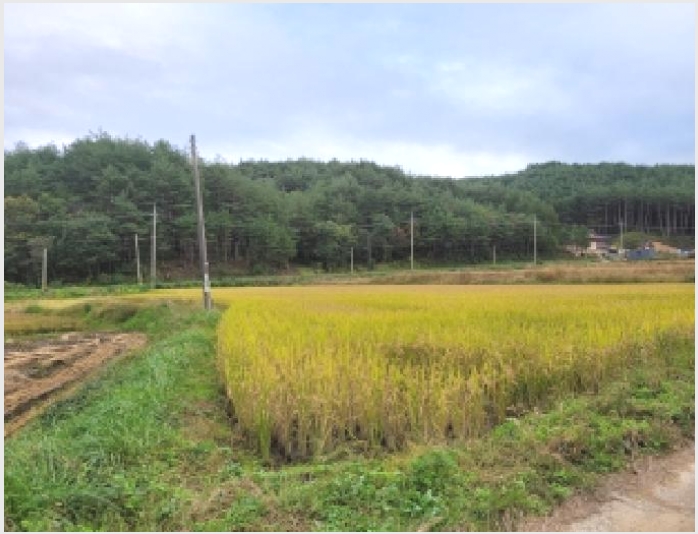 �� 5-��籺 ������ �ߺҸ�-��