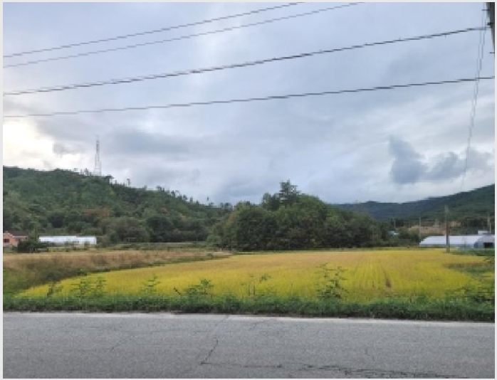 �� 6-��籺 ������ �ߺҸ�-��