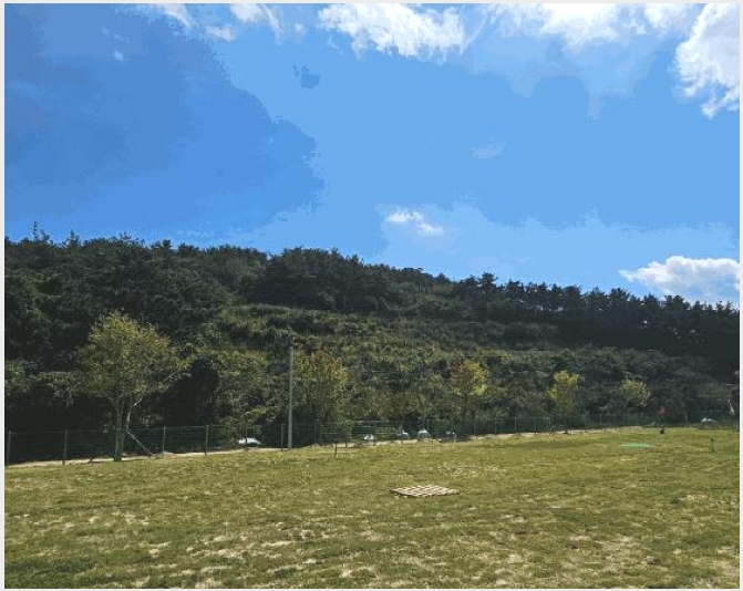 �Ӿ� 4-�뿵�� �볲�� ����-�Ӿ�