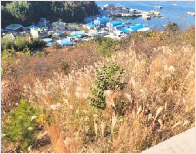 �Ӿ� 4-�뿵�� ����� ������-�Ӿ�
