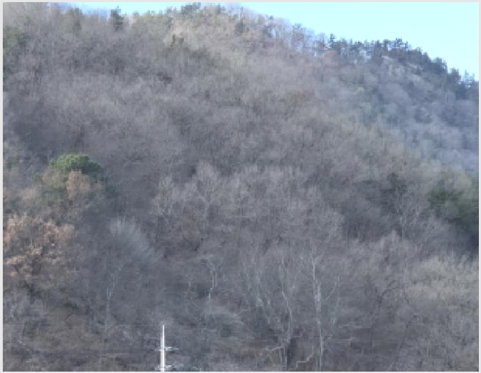 �Ӿ� 8-ȭ���� ����� ��ȭ��-�Ӿ�