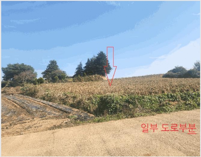�� 5-�ξȱ� ������ �뵿��-��