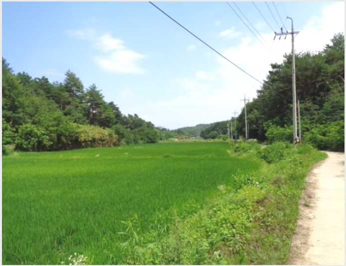���� 4-��籺 ������ ���ฮ-����