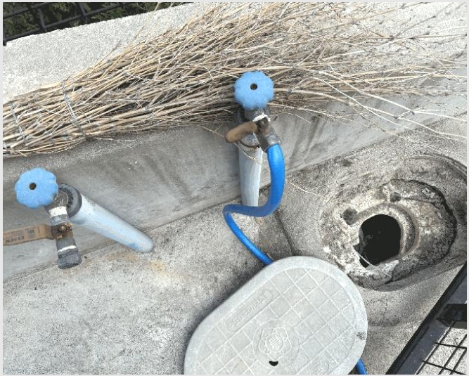�ٸ����� 5-���ȱ� �Ϸ��� �׻긮-�ٸ�����