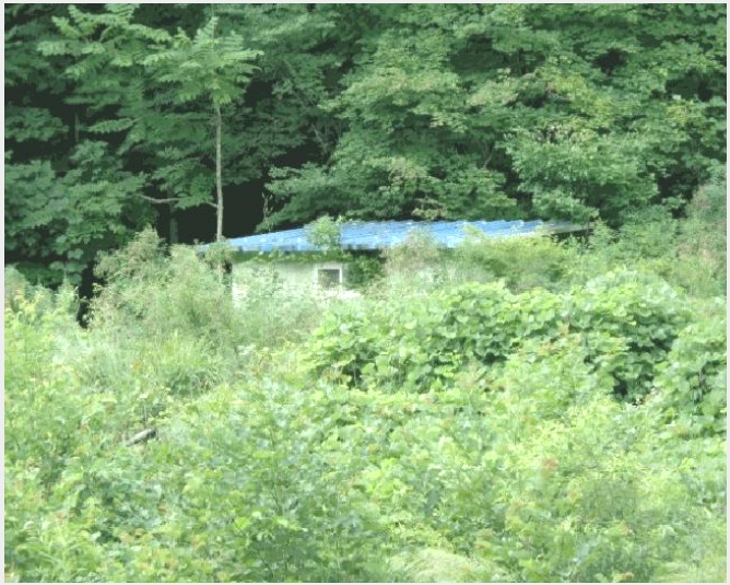 �� 6-��籺 ���� ������-��