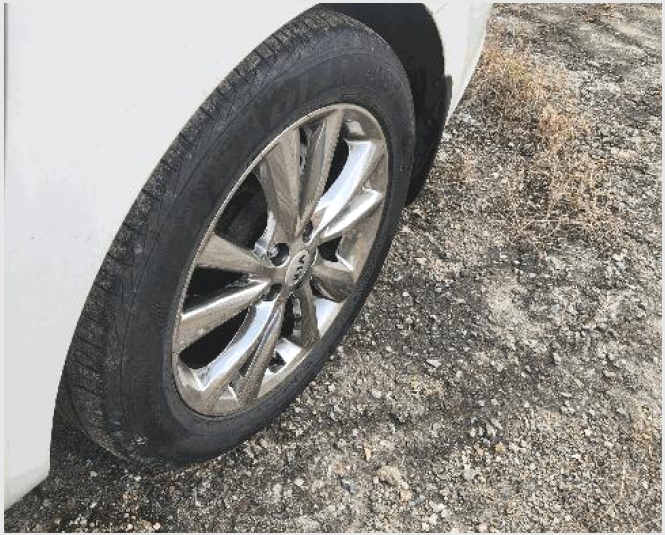���� 10-������ ������ �����-����