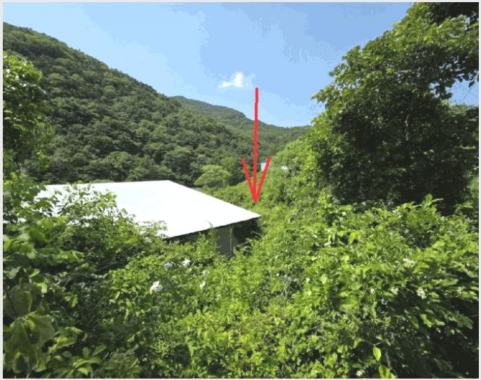 ���� 4-û���� ��õ�� ��õ��-����