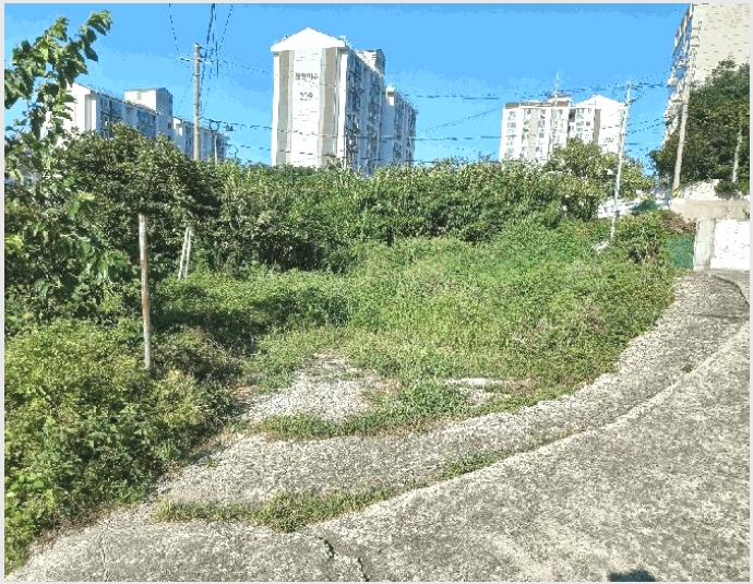 �ܵ����� 10-�뿵�� �̼��� 679-�ܵ�����