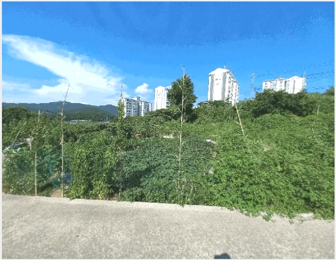 �ܵ����� 9-�뿵�� �̼��� 679-�ܵ�����