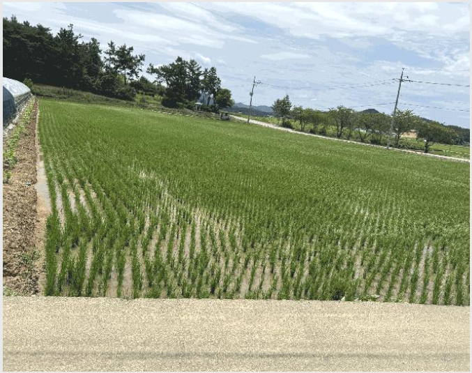 �� 4-���ȱ� û��� ��ȣ��-��