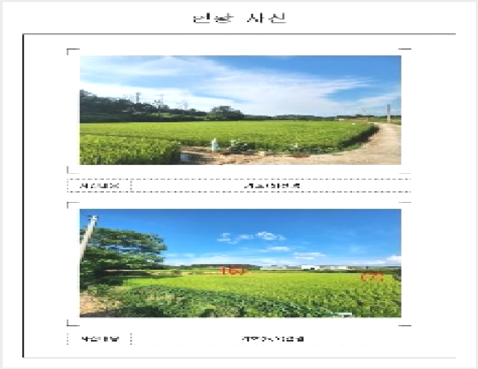 �� 5-���ϱ� ������ ���긮-��