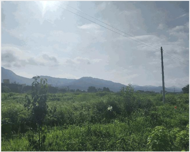 �� 5-������ �ۻ굿 53-7-��
