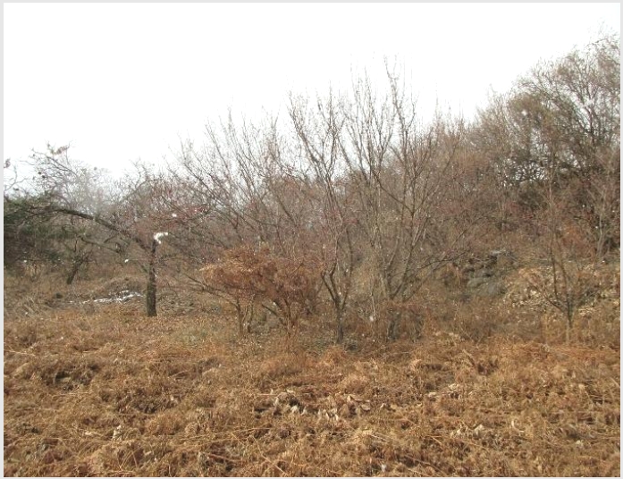 �� 7-���ʱ� �굿�� �»縮-��