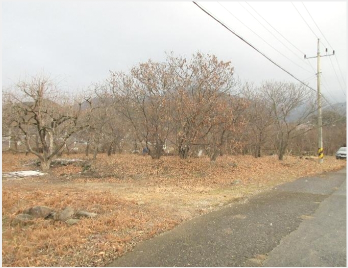 �� 5-���ʱ� �굿�� �»縮-��