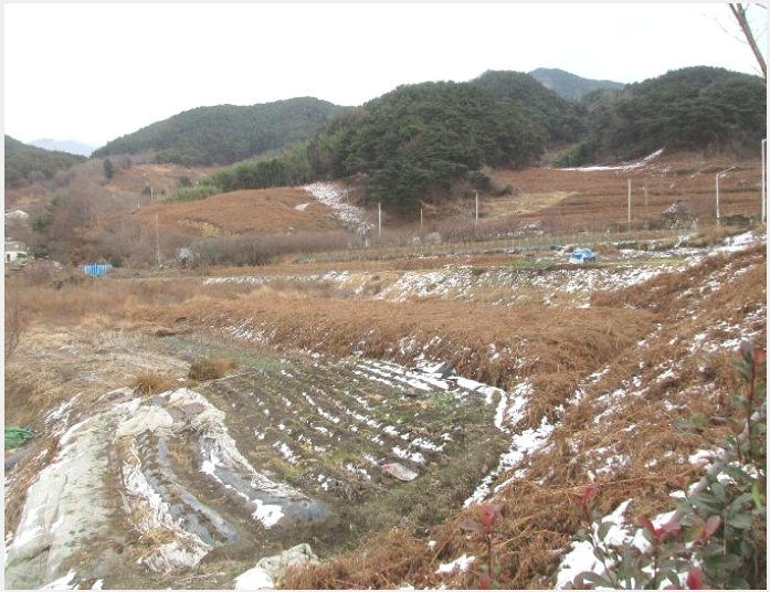 �� 6-���ʱ� �굿�� �»縮-��