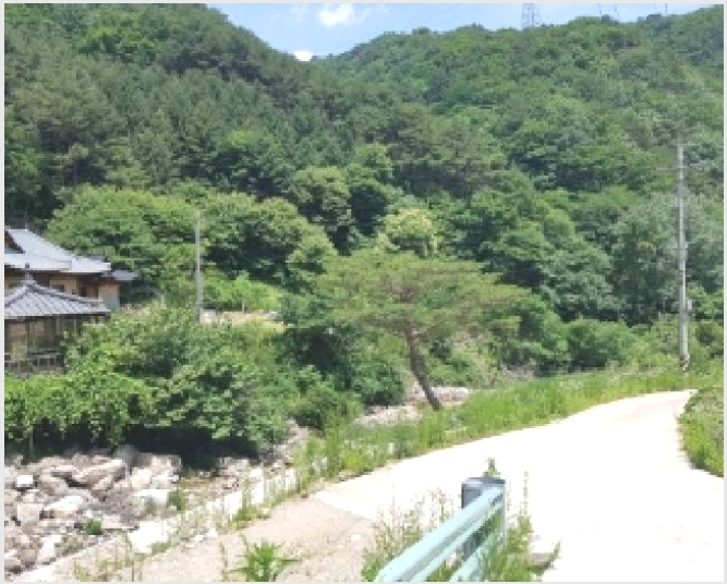 �� 9-������ �ϸ� ��븮-��