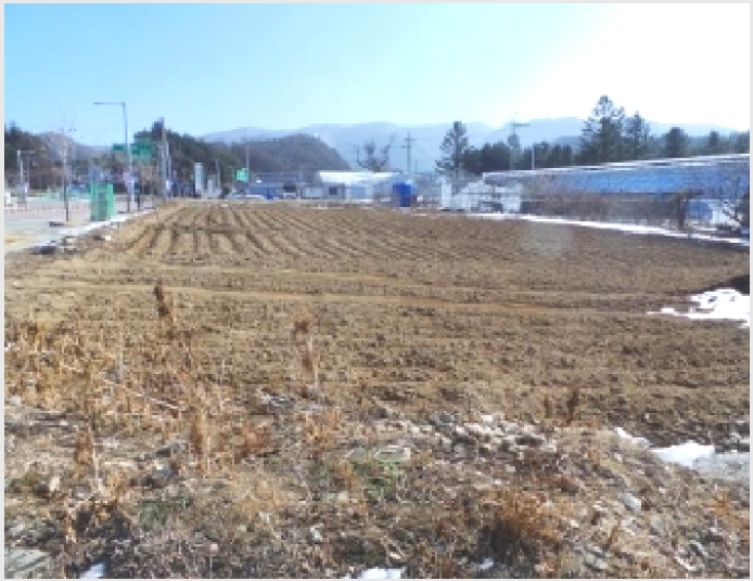 �� 5-��â�� ���θ� ������-��