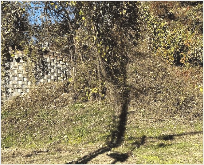���� 4-������ û�۸� 458-1-����