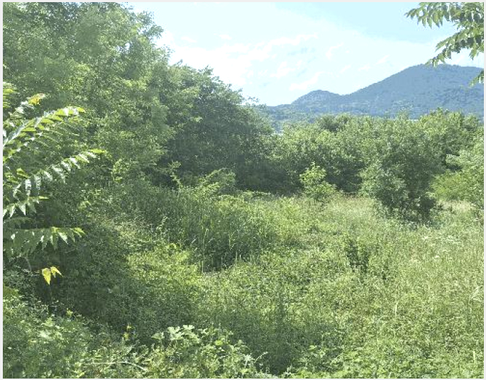 �� 5-ȫ���� ��õ�� ������-��