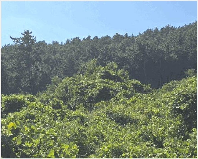 �Ӿ� 9-���ر� â���� �뺮��-�Ӿ�