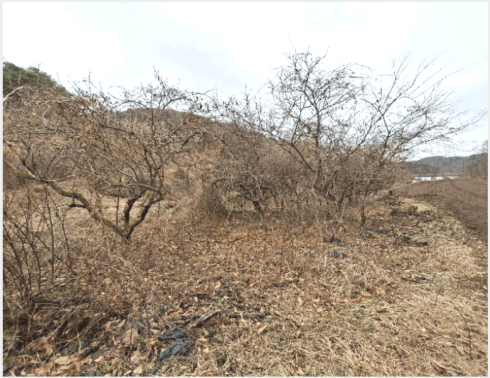 �� 10-���ֽ� ������ ��õ��-��