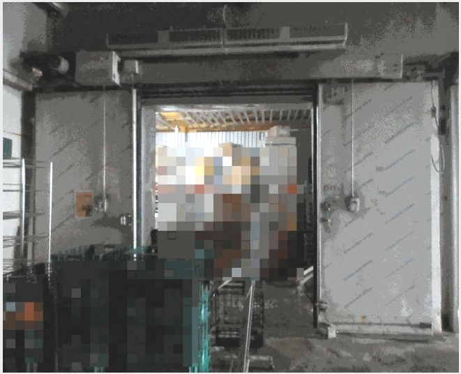 �ٸ����� 5-�뿵�� ������ ��긮-�ٸ�����