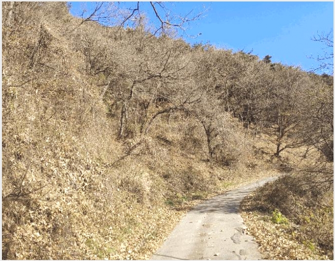 �Ӿ� 7-�о�� �곻�� ������-�Ӿ�