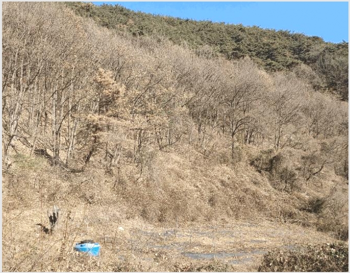 �Ӿ� 8-�о�� �곻�� ������-�Ӿ�