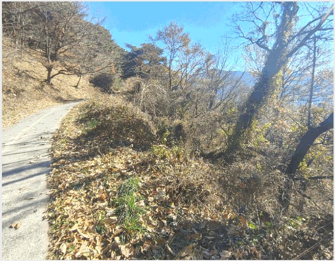 �Ӿ� 9-�о�� �곻�� ������-�Ӿ�