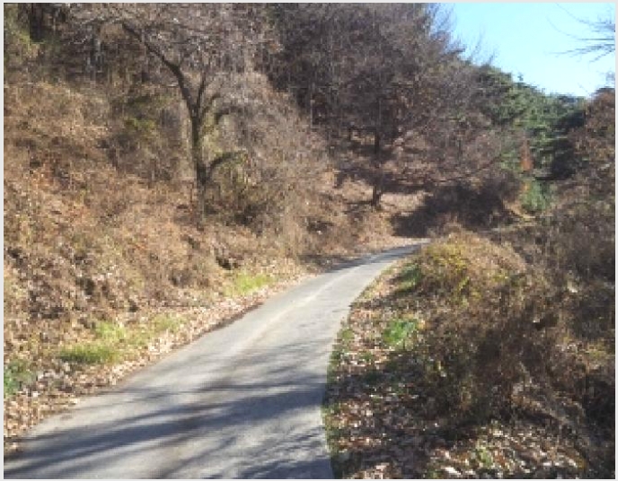 �Ӿ� 5-�о�� �곻�� ������-�Ӿ�