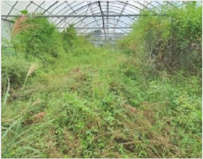 �� 10-â���� ���������� ������-��