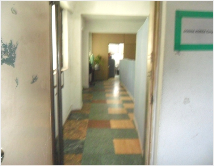 �ٸ����� 6-�߶��� ��ȭ�� 312-1-�ٸ�����