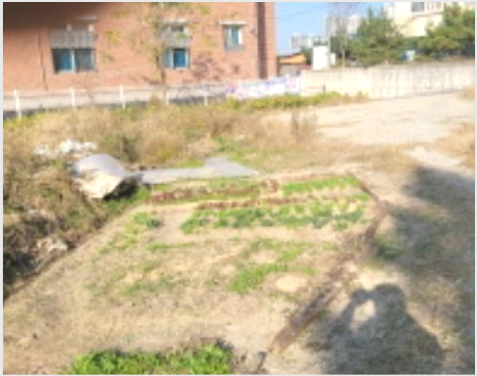 ���� 6-�ͻ�� ���굿 213-16-����
