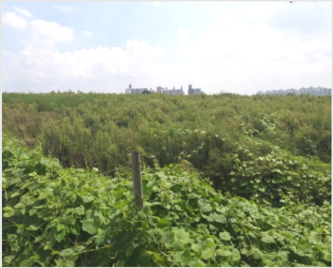 �Ӿ� 9-�ȼ��� ������ ������-�Ӿ�