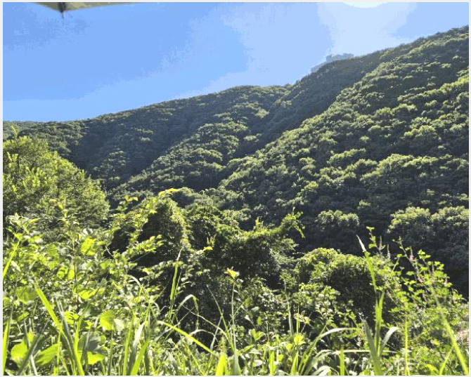 �Ӿ� 9-û���� ������ �ۿ���-�Ӿ�