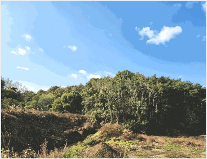 �� 10-��õ�� ȭ��� ȿ����-��