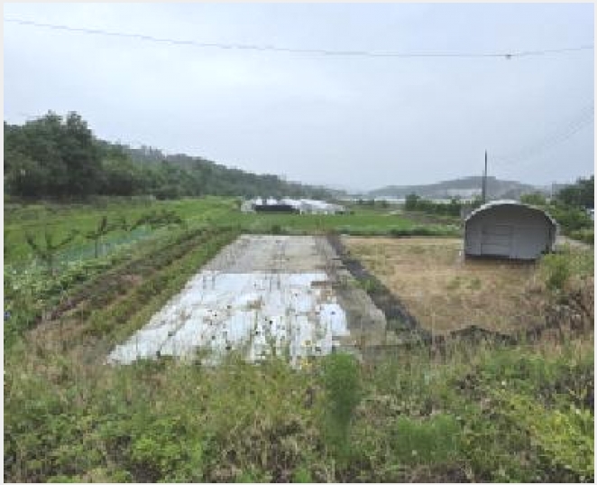 �� 10-���̽� �굿�� �δ���-��